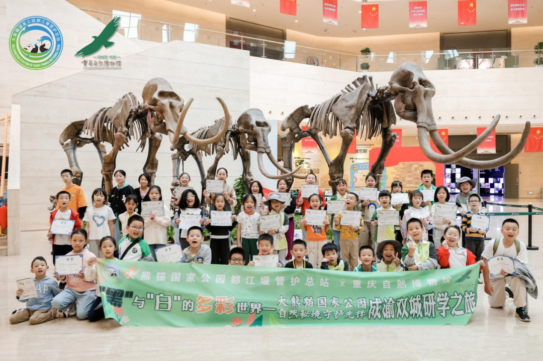 e08aec6d-b1dc-4014-9420-38e22c0dbfc1 e08aec6d-b1dc-4014-9420-38e22c0dbfc1